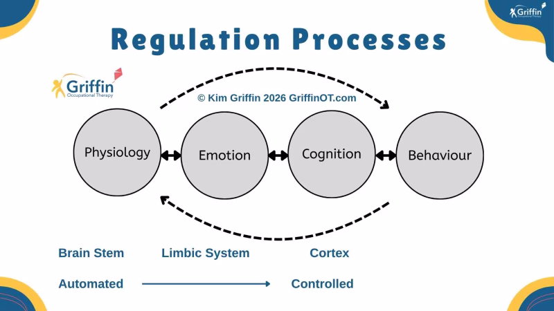 Regulation Processes GriffinOT