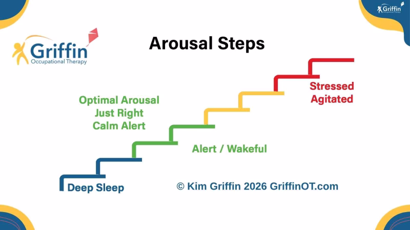 arousal steps griffinot sensory Image showing stair case with stressed at the top, deep sleep at the bottom and optimal in the middle. Steps are red at the bottom, green in the middle, yellow then red at the top.