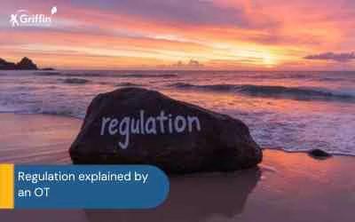 Sunset at beach with rock that says regulation